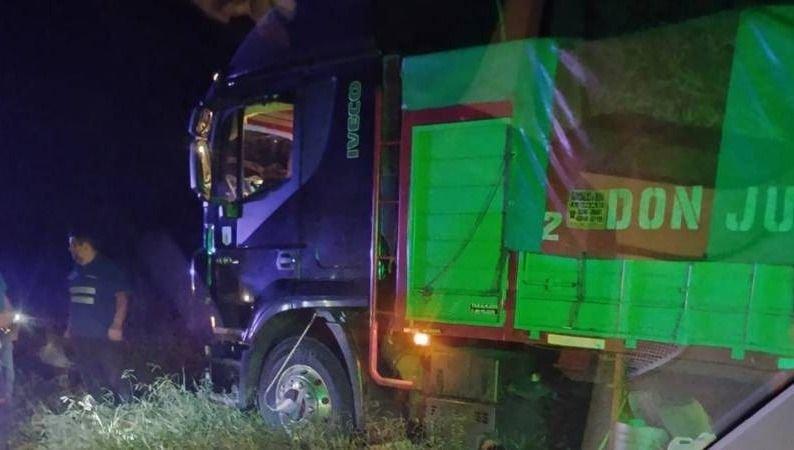 Un camión colisionó con un caballo que se le atravesó en el camino