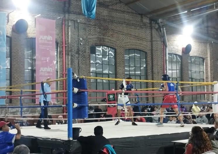 Nuevo festival de boxeo amateur en Junín