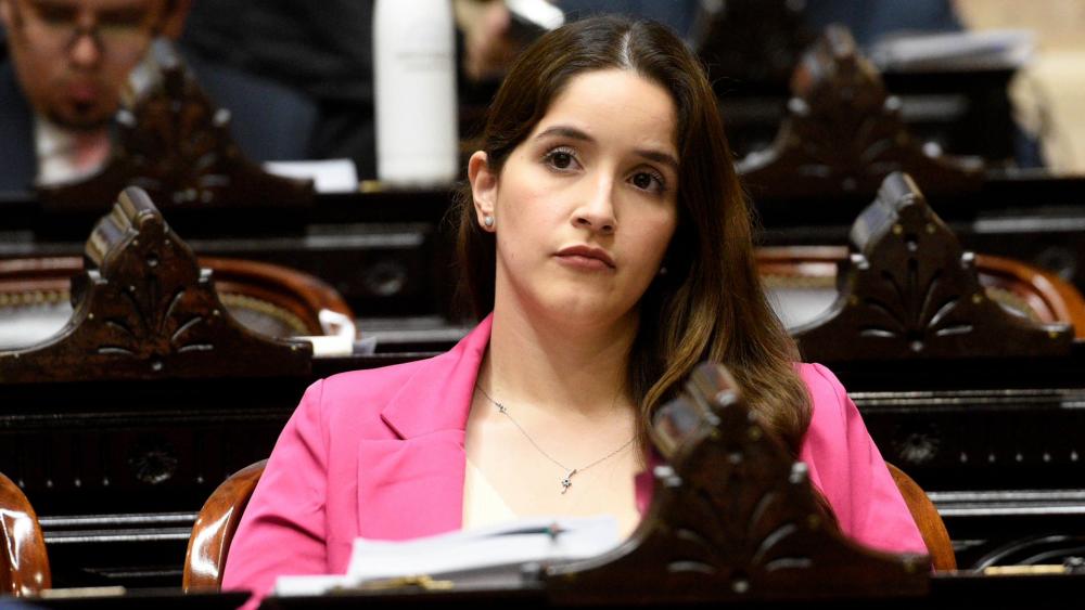 Crece la tensión interna en el bloque de diputados de La Libertad Avanza tras visita a represores en Ezeiza