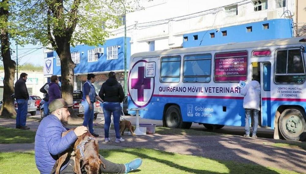 Prosigue la campaña anual de vacunación antirrábica gratuita: Las veterinarias adheridas