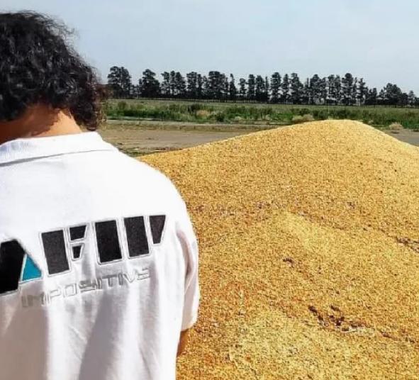 En Los Toldos secuestraron 5.000 toneladas de cereal