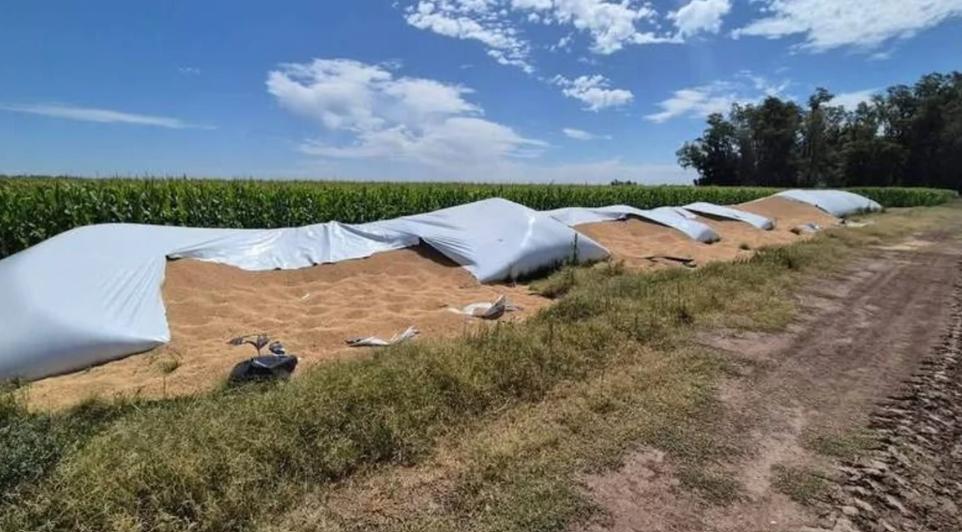 Roban entre 20.000 y 30.000 kilos de cereal de un silobolsa