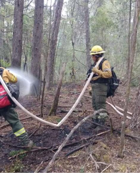 Bomberos juninenses trabajan en el incendio forestal de El Bolsón