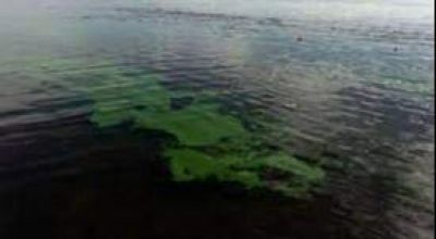Nueva alerta naranja por presencia de cianobacterias en Laguna de Gómez