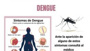 Hay cuatro casos confirmados de Dengue en Junín