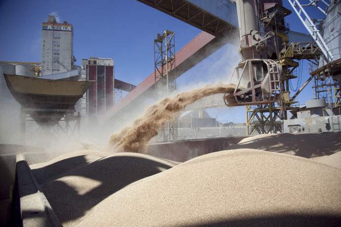 El Gobierno reabrió el registro de exportaciones de harina y aceite de soja